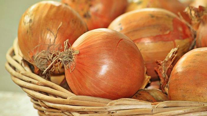 Bu yöntemler soğan doğrarken göz yaşarmasını engelliyor 8